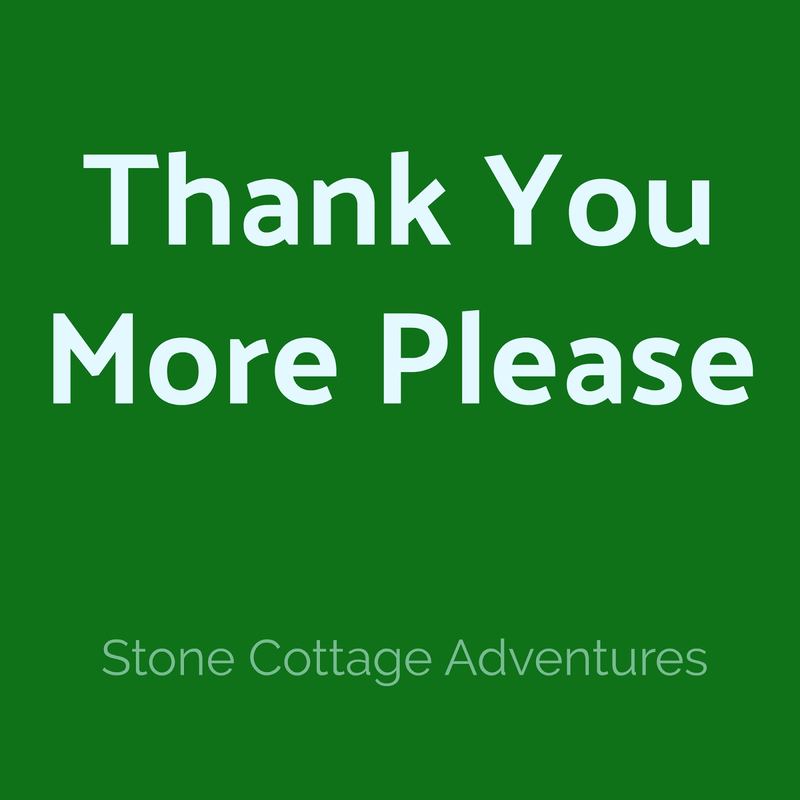 No Thank You – photo 2