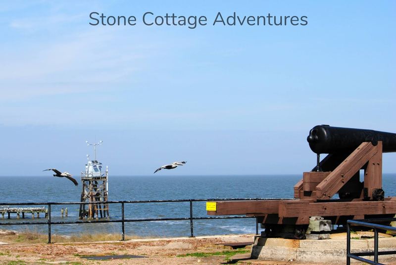 Pelican Shot from a Cannon – photo 5