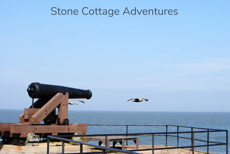 Pelican Shot from a Cannon – photo 6