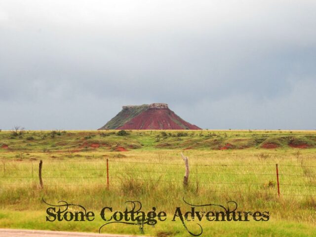 Travels with Marci at Black Mesa Park