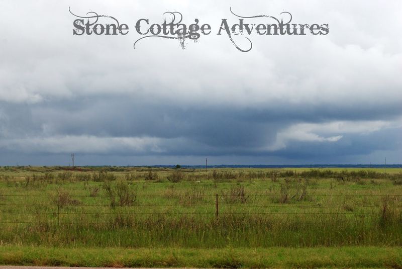 Travels with Marci at Black Mesa Park – photo 5