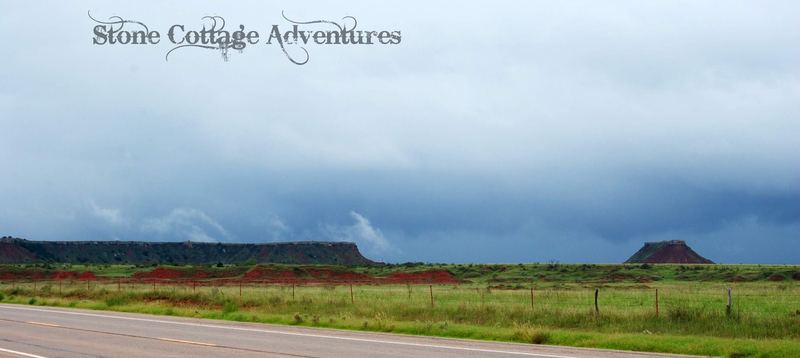 Travels with Marci at Black Mesa Park – photo 6