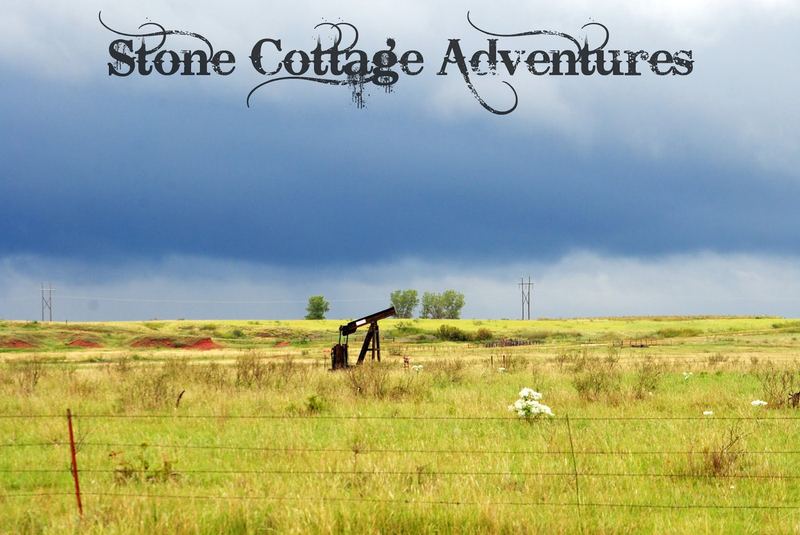 Travels with Marci at Black Mesa Park – photo 7