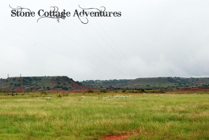 Travels with Marci at Black Mesa Park – photo 8