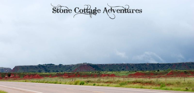 Travels with Marci at Black Mesa Park – photo 9