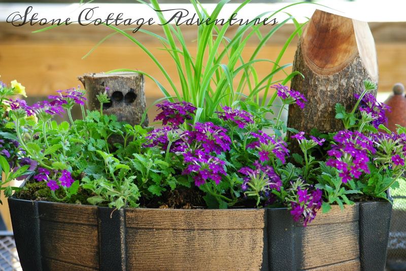 Plan for a Humming Back Yard – photo 10