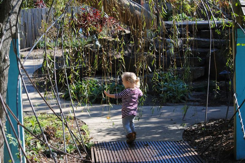 Botanical Garden of the Ozarks – photo 10