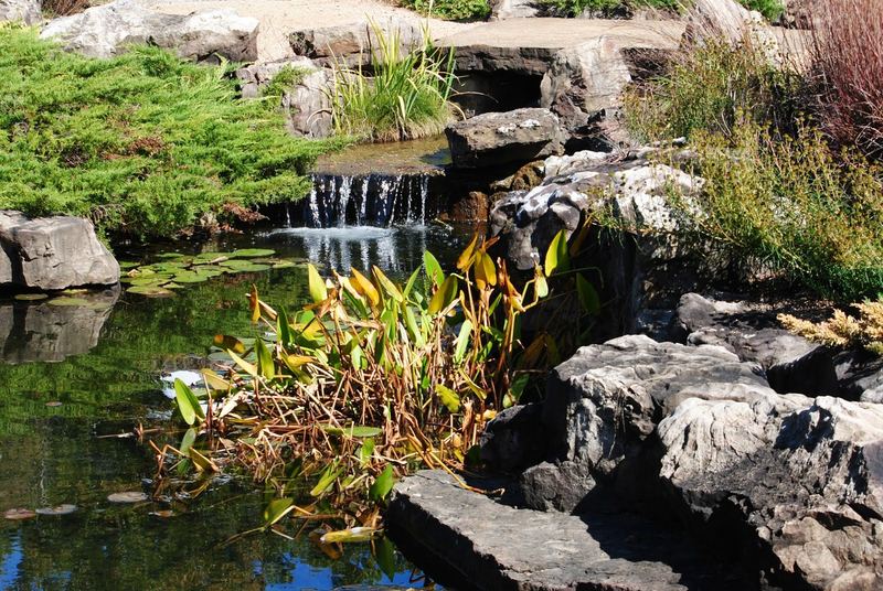 Botanical Garden of the Ozarks – photo 17