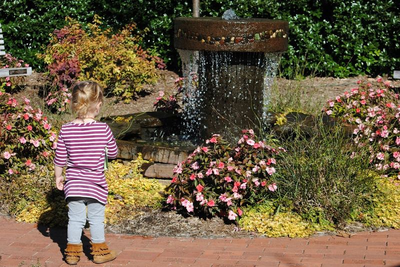 Botanical Garden of the Ozarks – photo 6