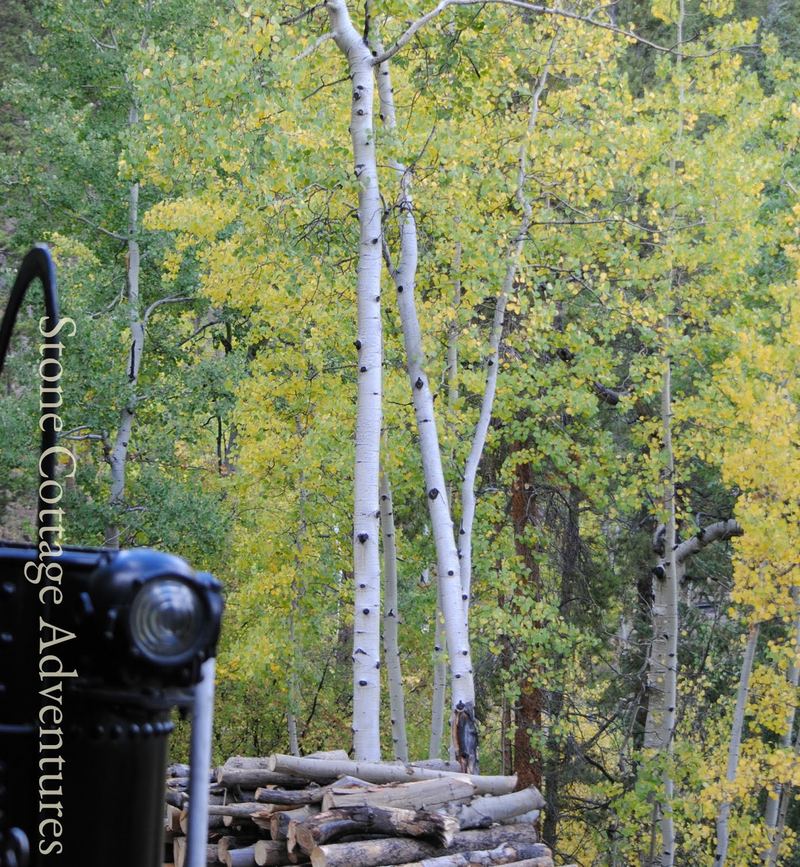 Historic Georgetown Loop Railroad – photo 11
