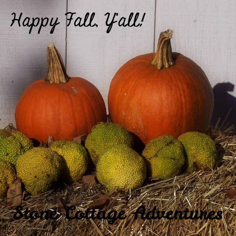 My "To Do" List for Autumn – photo 1