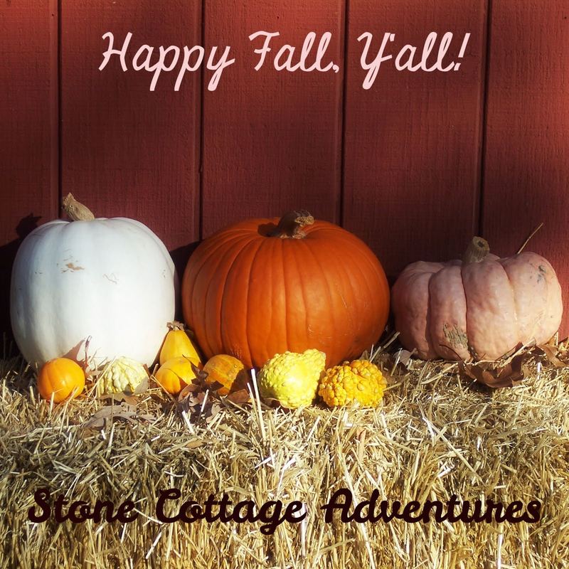 My "To Do" List for Autumn – photo 3