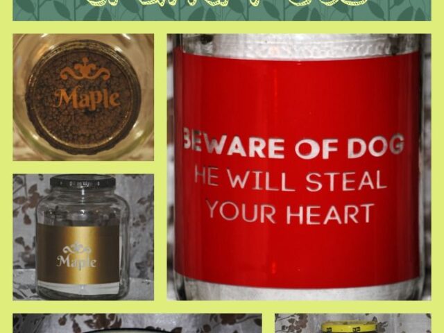 Gifts for our Grand – Pets