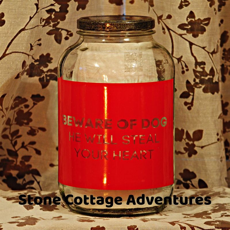 Gifts for our Grand - Pets – photo 4