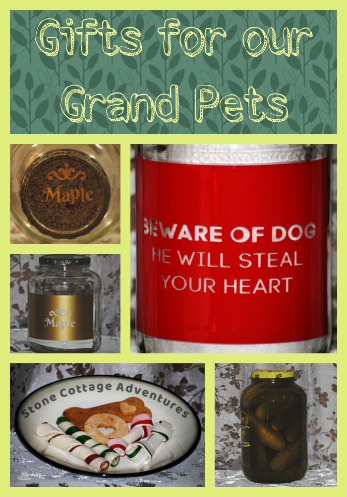 Gifts for our Grand - Pets – photo 8