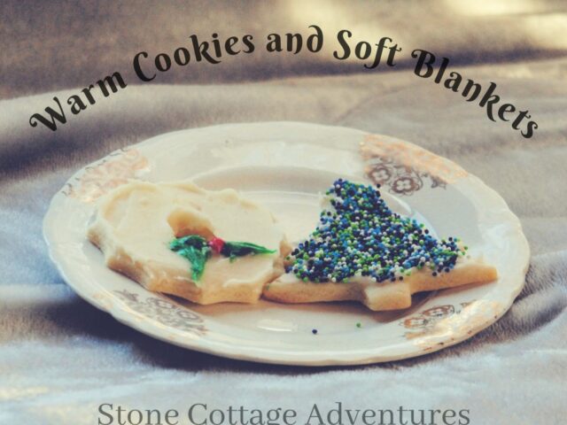 Warm Cookies and Soft Blankets
