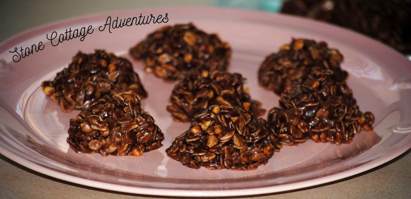 Dalton's Favor-I-test Cookies – photo 4