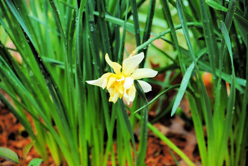 Another Rainy Day – photo 2