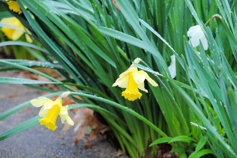 Another Rainy Day – photo 5
