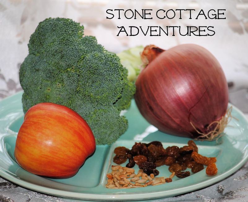 Let's Have a Picnic! – photo 2