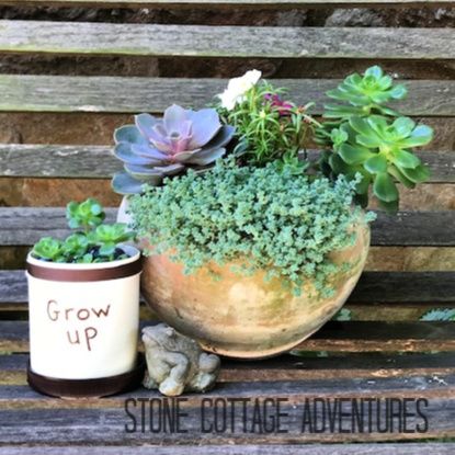 From humble beginnings this Planter comes – photo 8