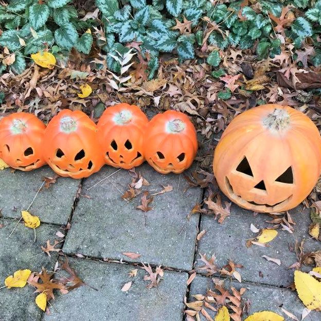 Embracing this Season – photo 8