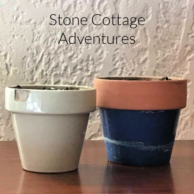 Prepping Succulents for Winter – photo 4
