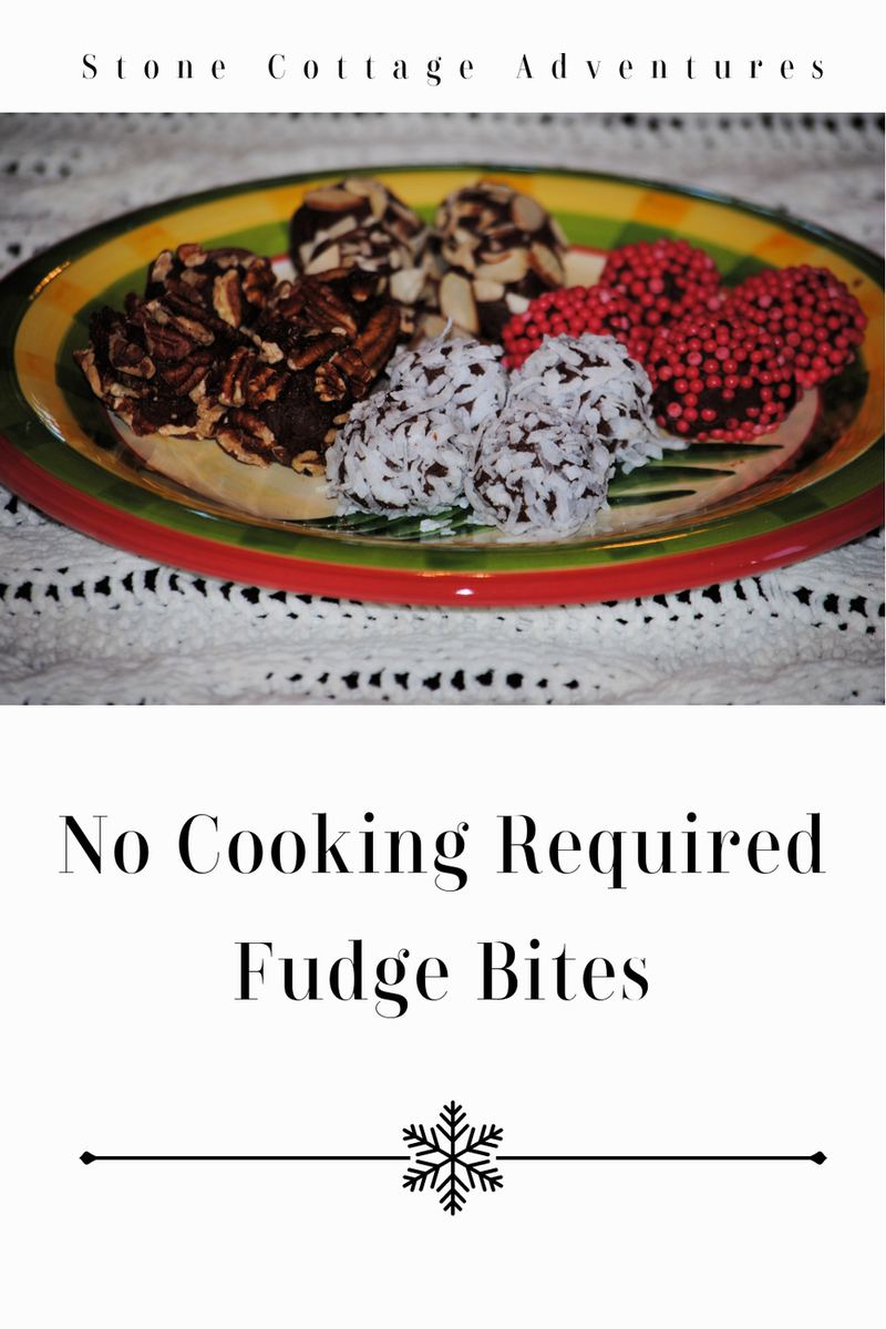 No Cooking Required * Fudge Bites – photo 4