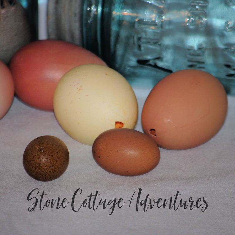 Decoupage Eggs for Spring – photo 6