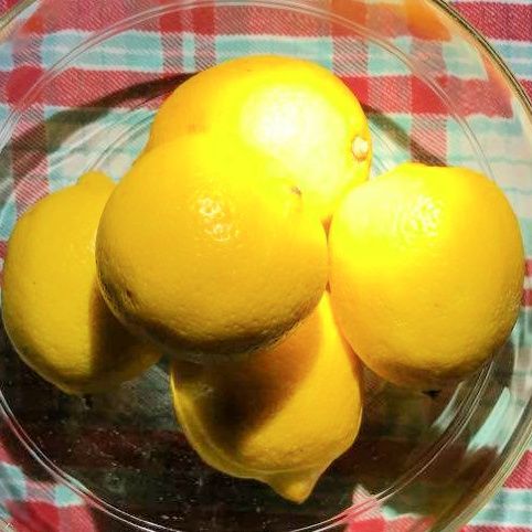 Lemon Ginger Cookies – photo 1