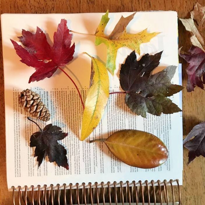 Bible Journaling with Natural Trace - ables – photo 2