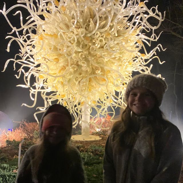 North Forest Lights at Crystal Bridges Museum – photo 2