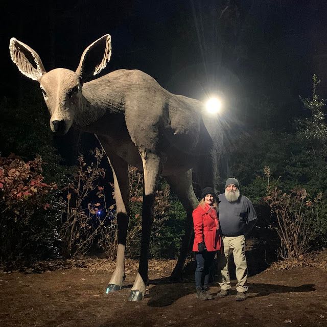 North Forest Lights at Crystal Bridges Museum – photo 4