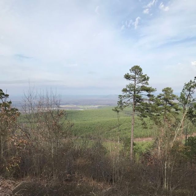 Arkansas Scenic Highways in Winter – photo 2