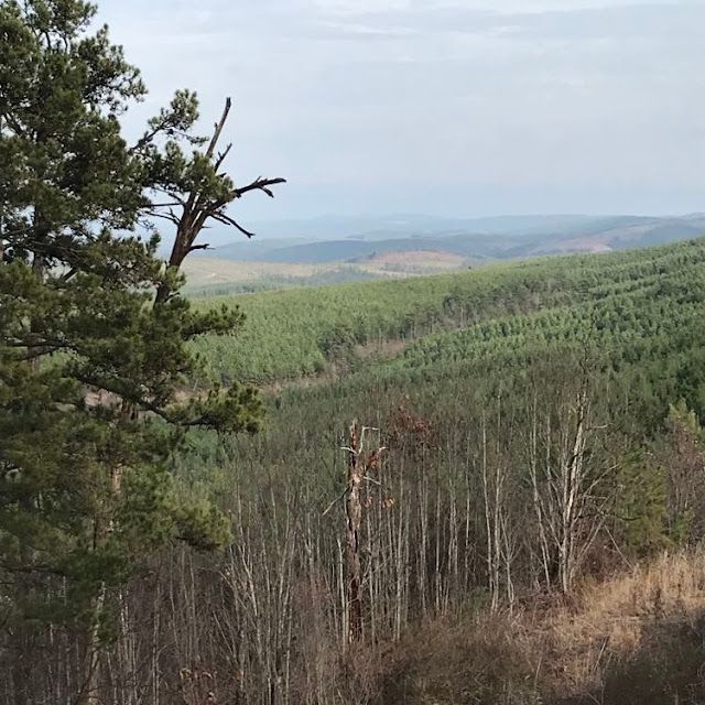 Arkansas Scenic Highways in Winter – photo 3