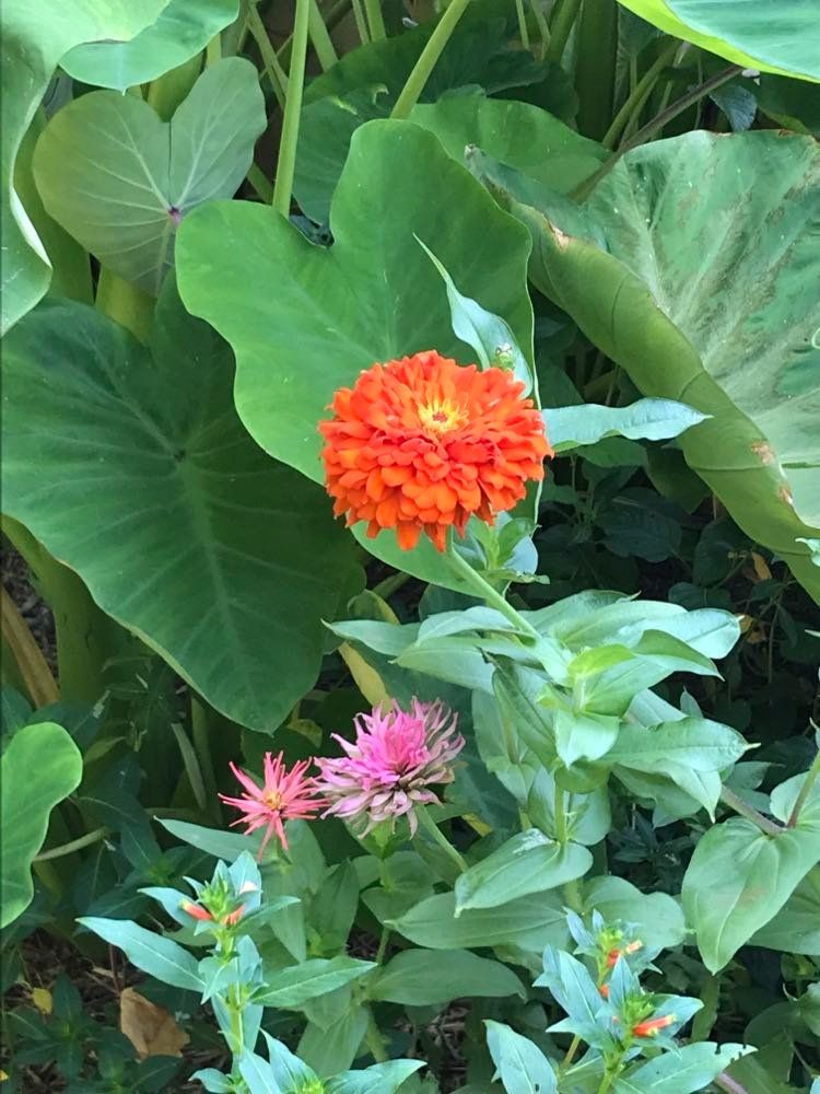 Photos from Philbrook – photo 3