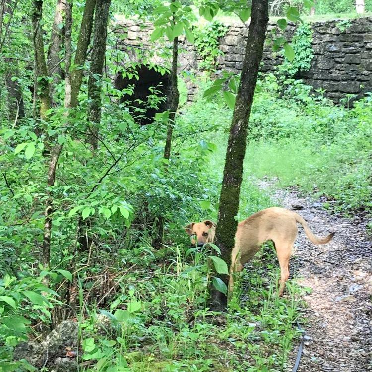 Camping with Clint – photo 3