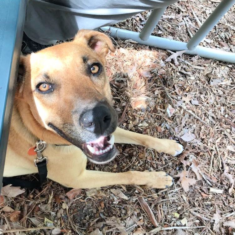 Camping with Clint – photo 6