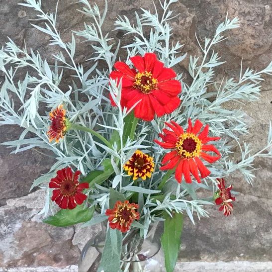 Zinnia Arrangements so far 2023 – photo 8