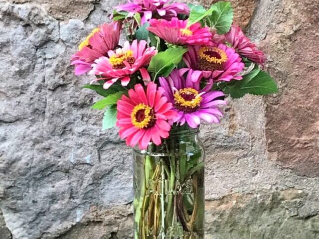 Another Zinnia Bouquet * Silent Sunday