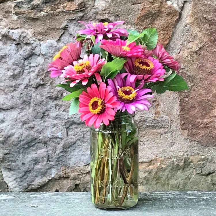 Another Zinnia Bouquet * Silent Sunday – photo 1